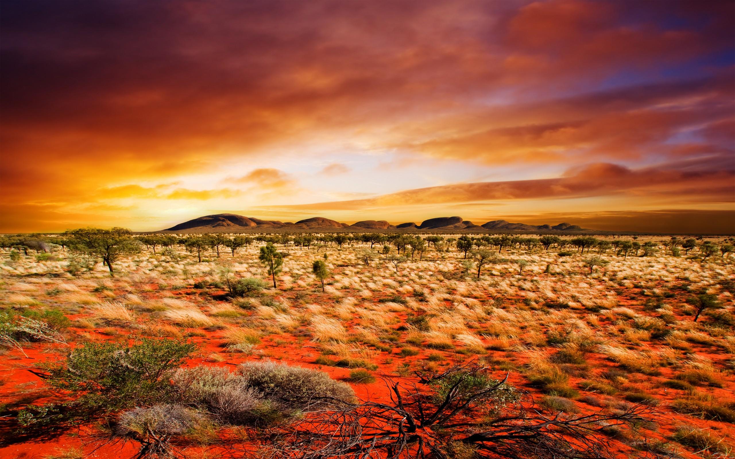 2560x1600 Free download Sands Wallpaper Desert Orange Sands Myspace Background Desert [2560x1600] for your Desktop, Mobile & Tablet. Explore Desert Wallpaper HD. Arizona Desert Wallpaper HD, Desert Scenery Wallpaper, Spring