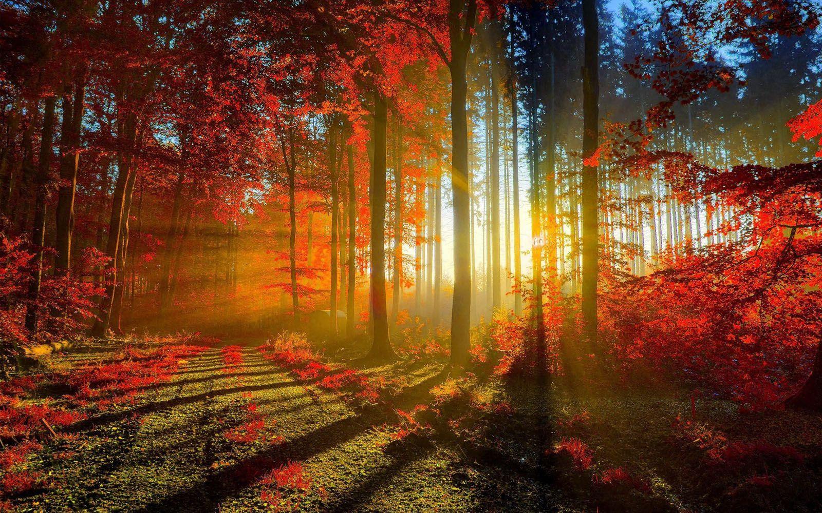 1600x1000 Scenery Background