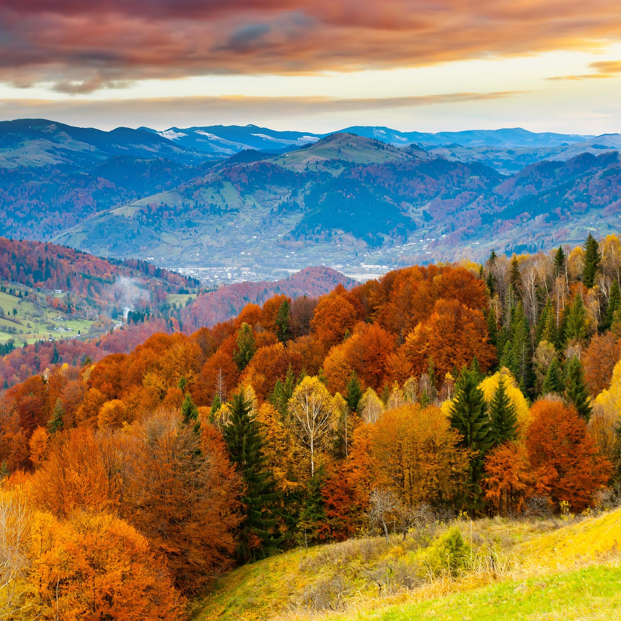 2048x2048 Fall Mountain Fun Red Orange Tree Nature
