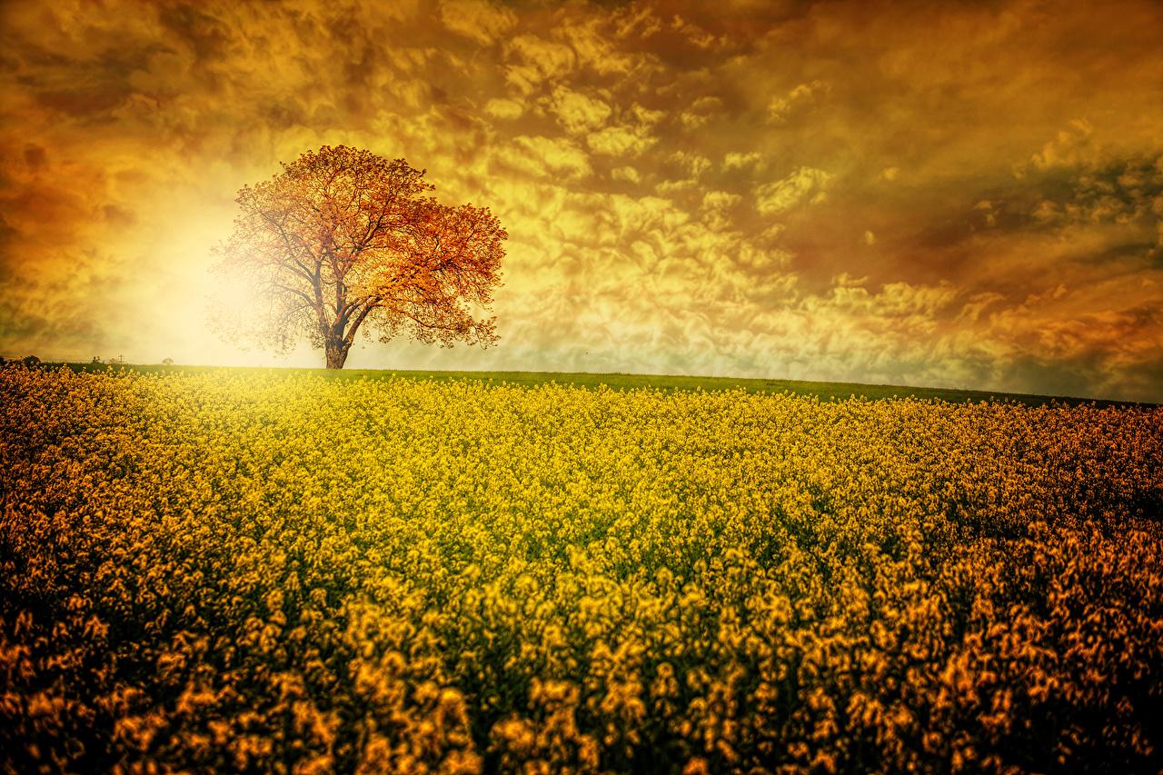 Orange Scenery Wallpapers Top Free Orange Scenery Backgrounds