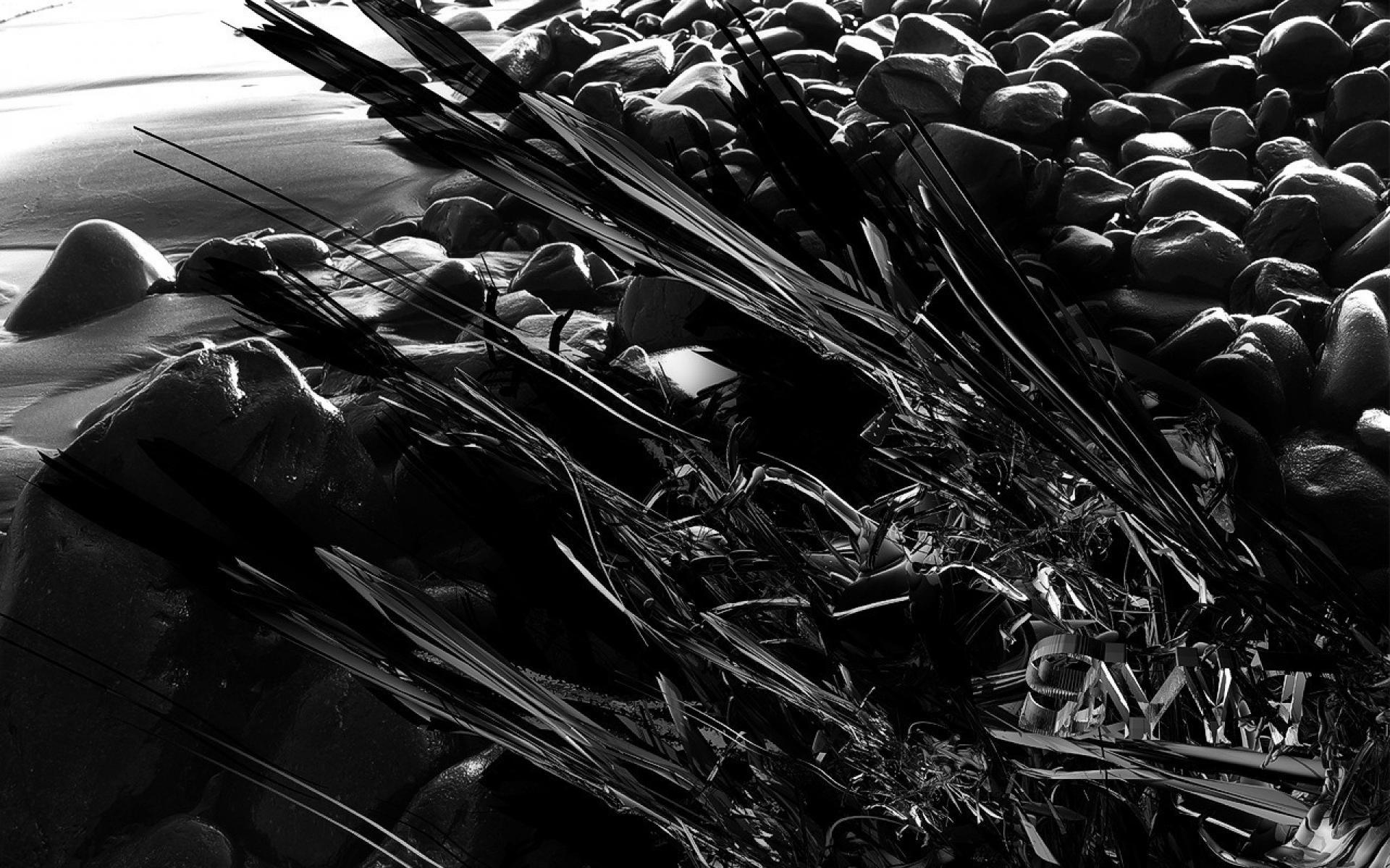 1920x1200 Black And White Color Splash Wallpaper