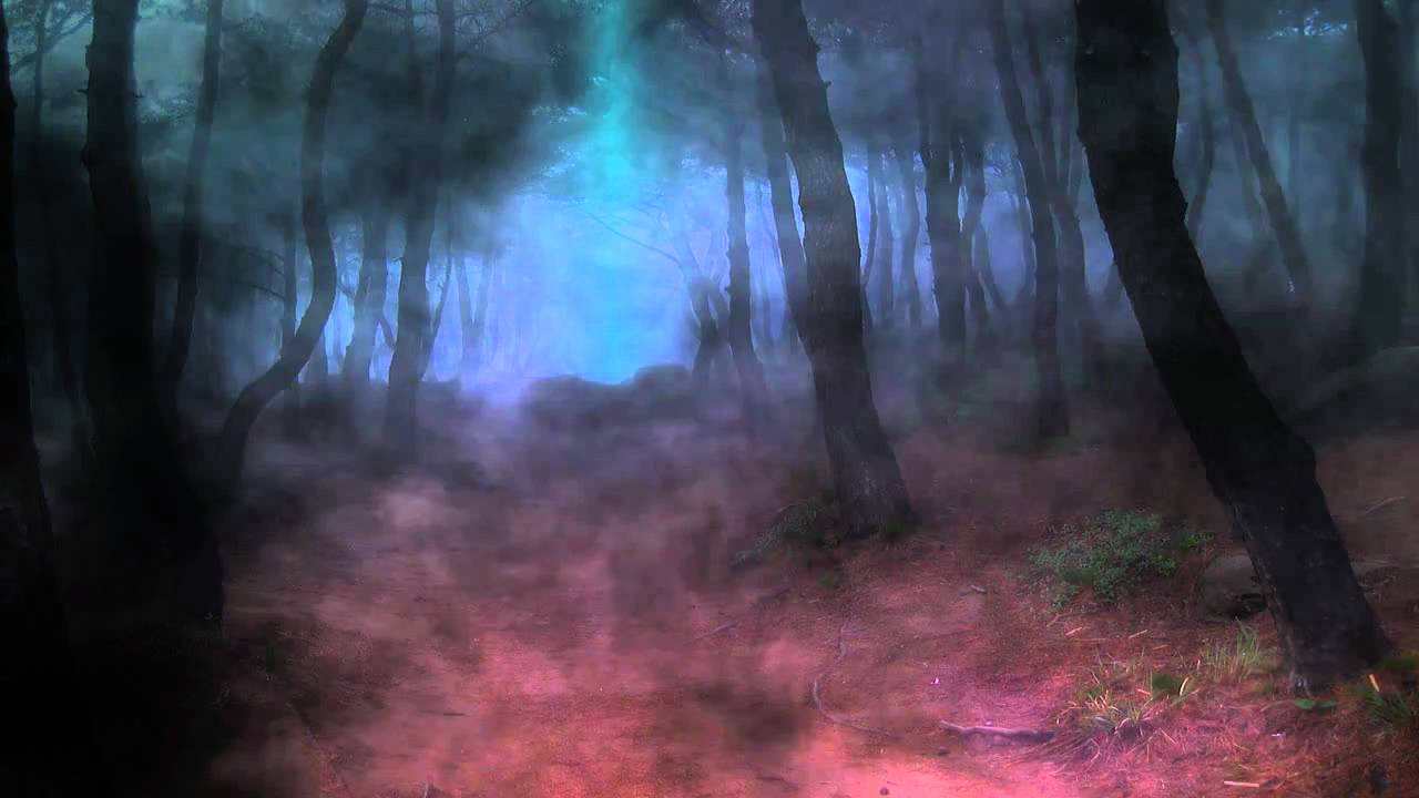 1280x720 Dark Forest Background