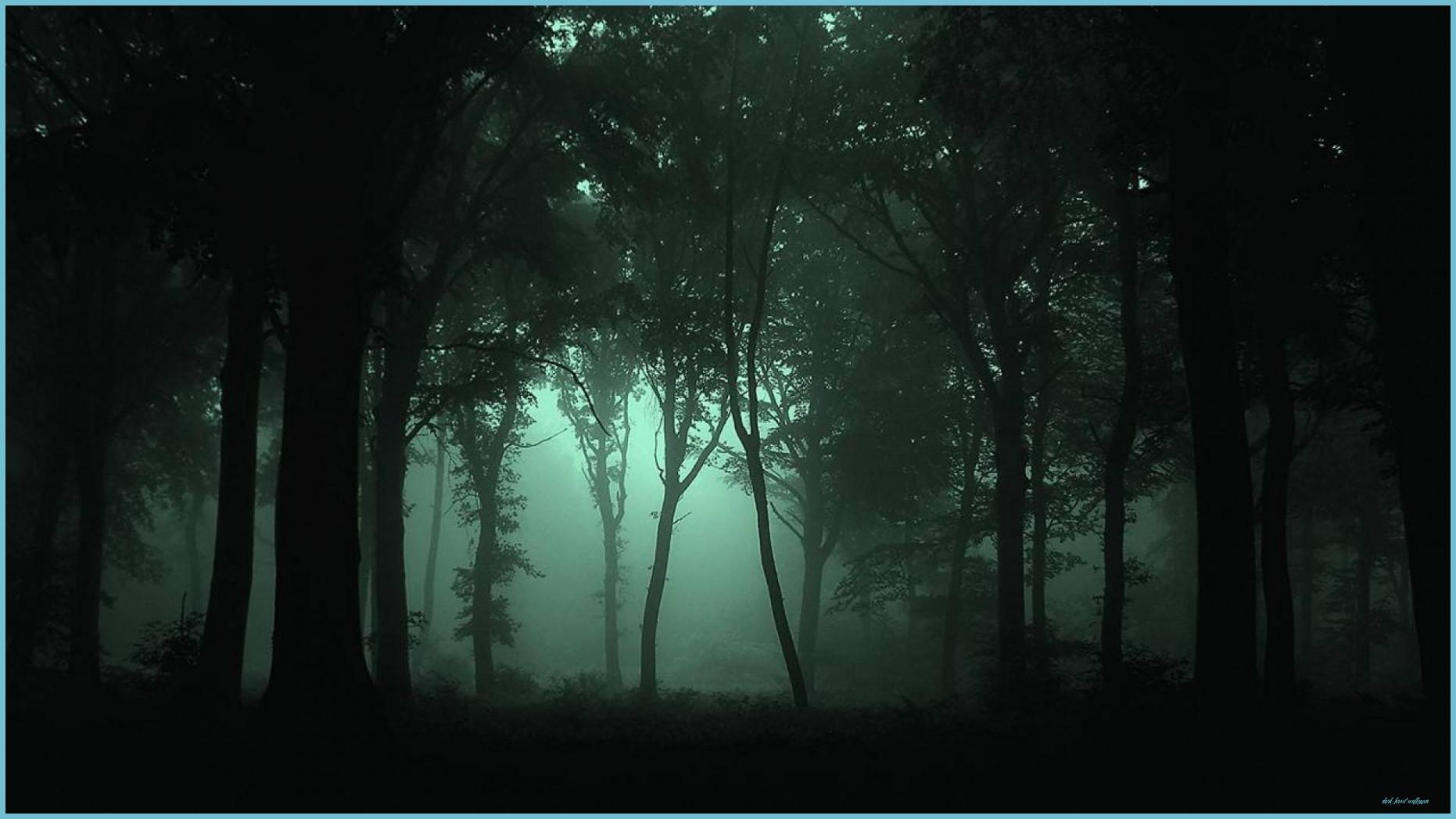 Dark Anime Forest Wallpapers - Top Free Dark Anime Forest Backgrounds