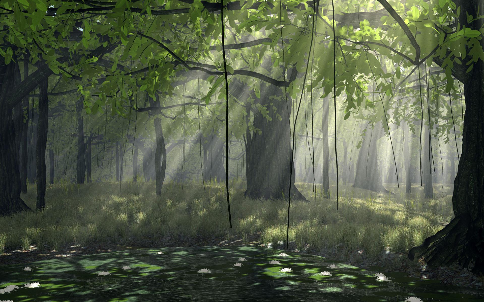Dark Anime Forest Wallpapers - Top Free Dark Anime Forest Backgrounds