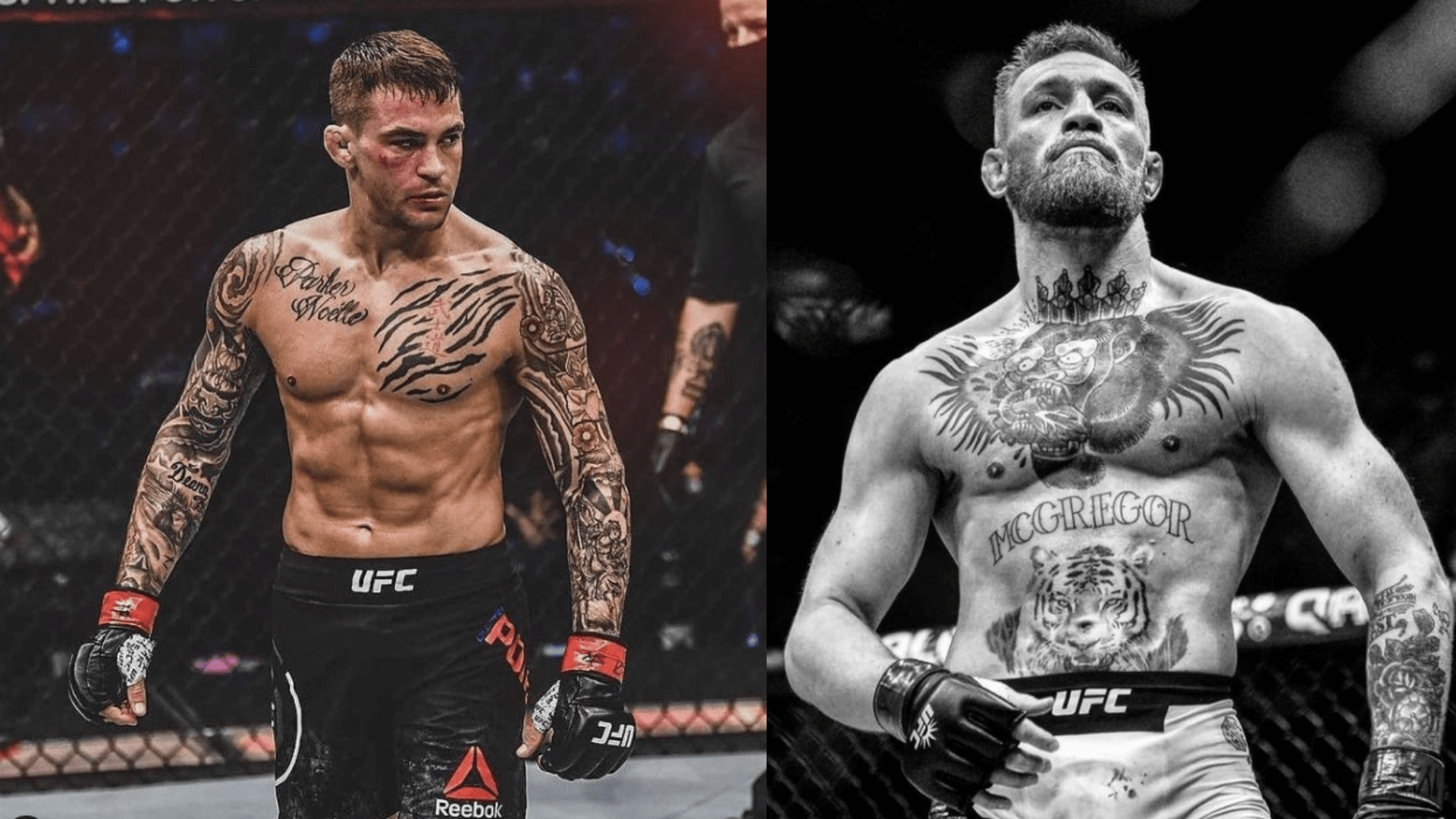 1920x1080 I Know the Way He Moves- Dustin Poirier Claims He Has Conor McGregor's Striking Figured Out