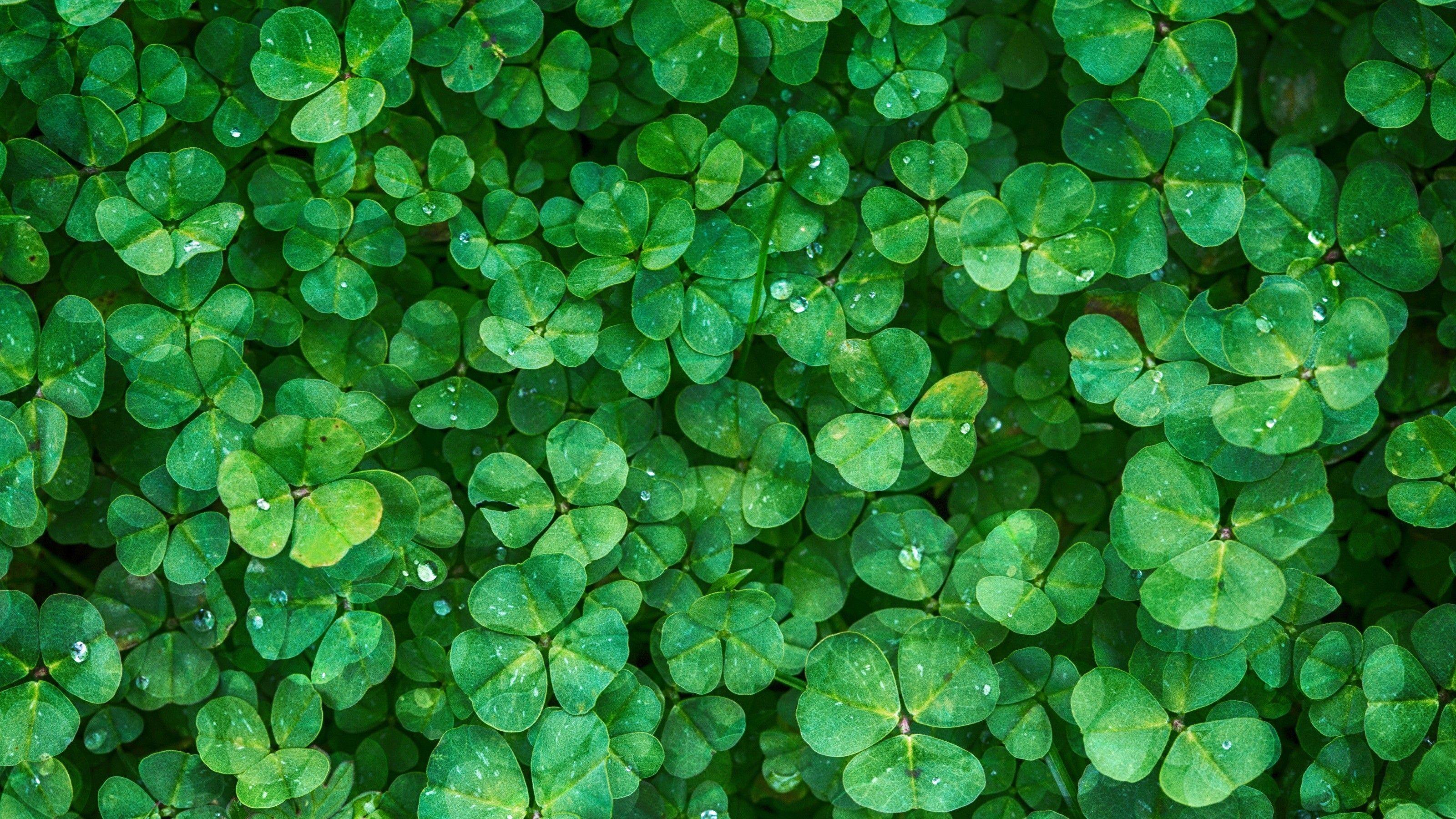 3200x1800 Top 3200x1800 Wallpaper 3200x180