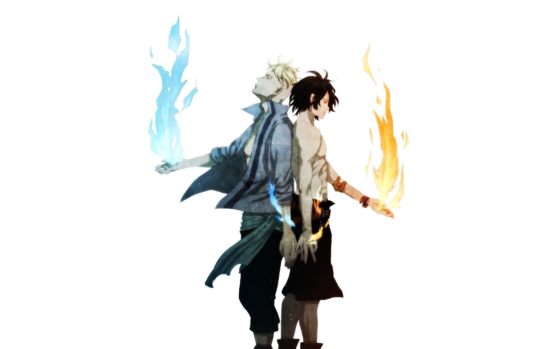 1920x1200 one piece anime simple background portgas d ace marco the phoenix