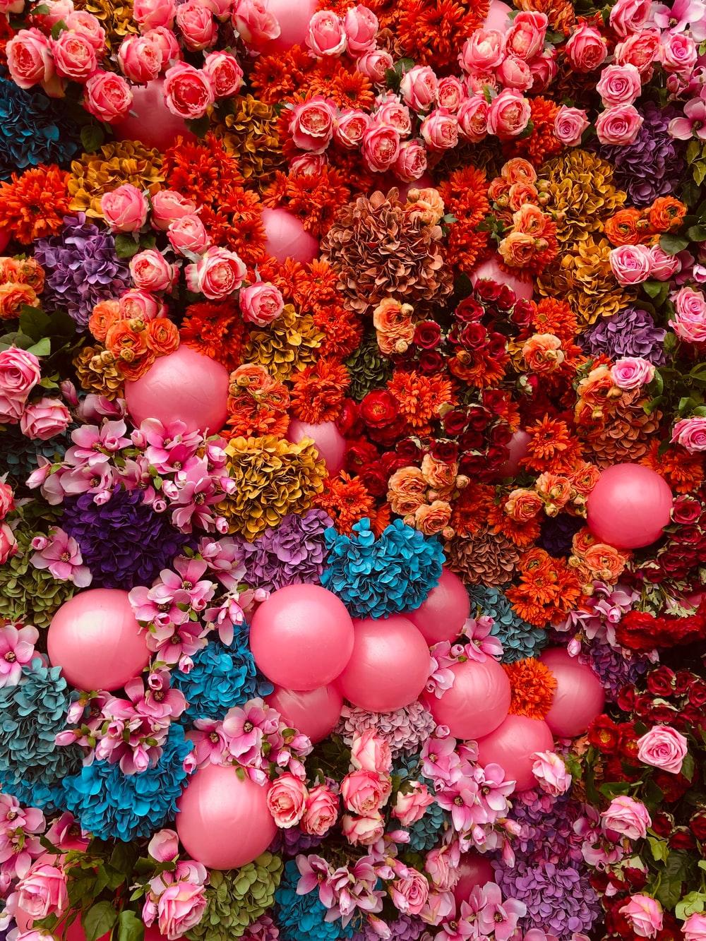 Abundance Wallpapers Top Free Abundance Backgrounds