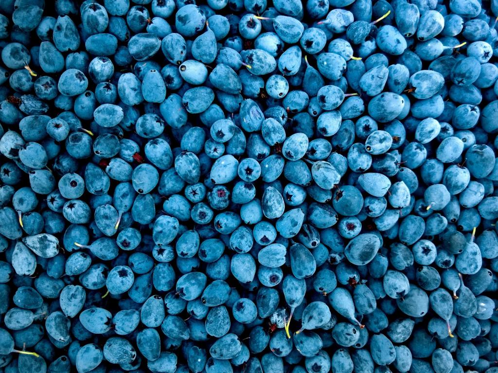 1024x768 Desktop wallpaper abundance, fruit, blueberries, HD image, picture, background, a53D7d