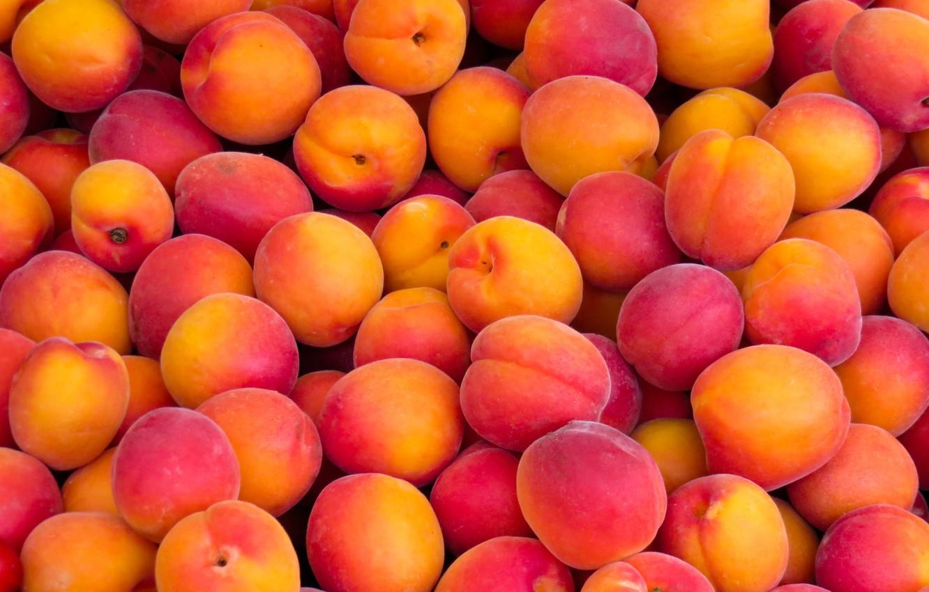 1332x850 Wallpaper fruit, nectarines, abundance image for desktop, section еда