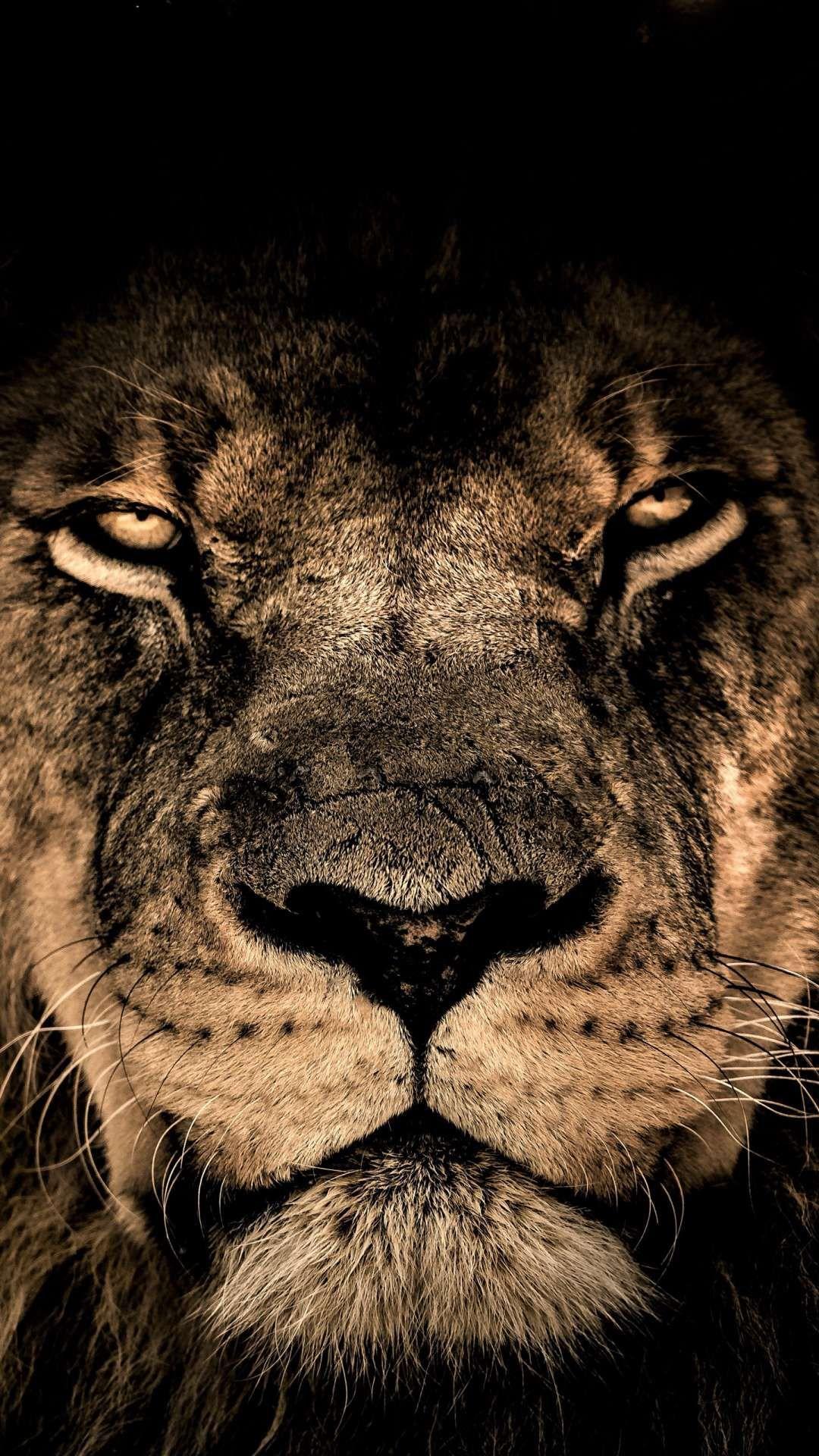 1080x1920 African Wildlife Android Wallpaper