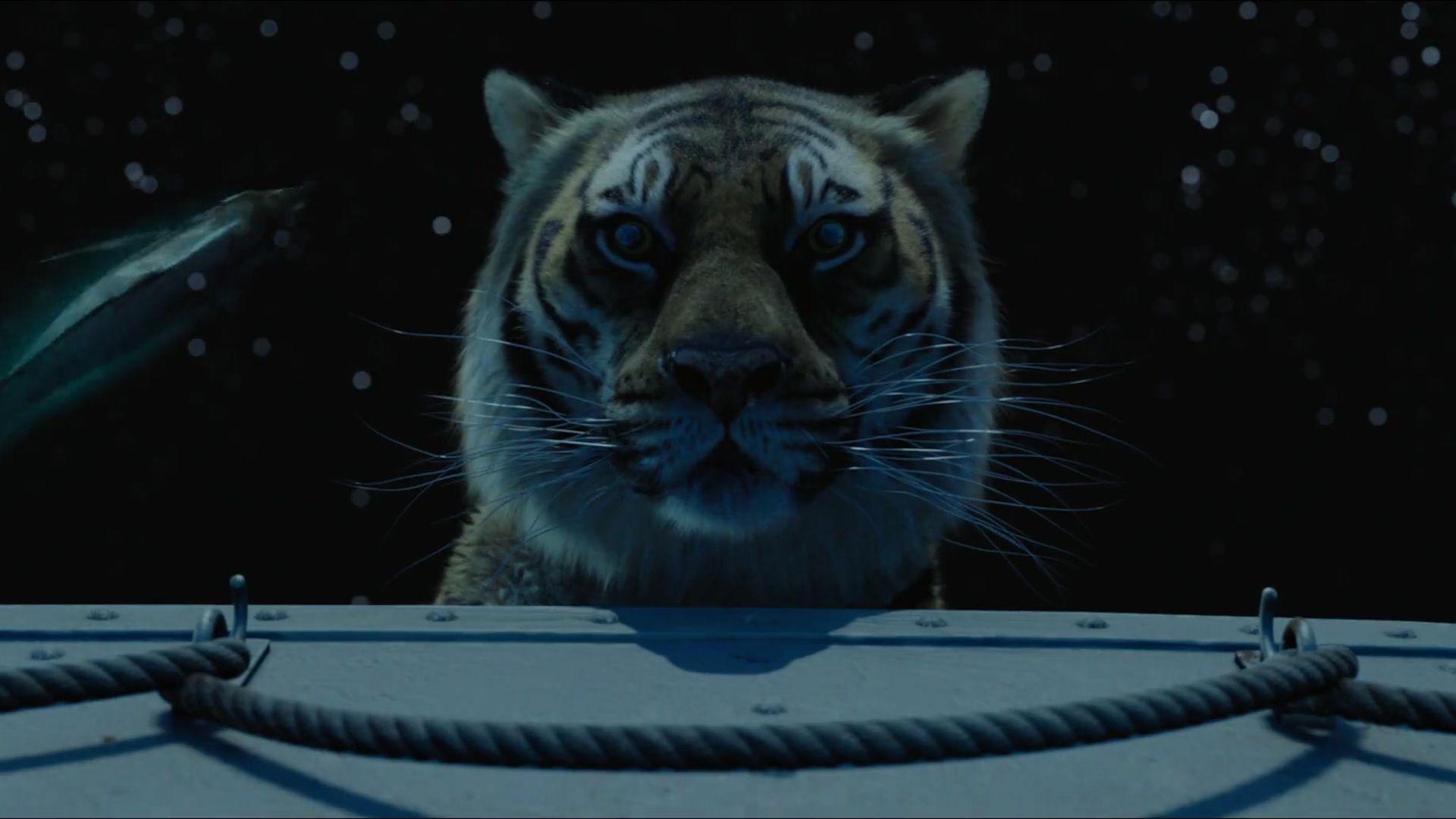 1920x1080 Life Of Pi Wallpaper, 36 Free Life Of Pi Wallpaper. Background