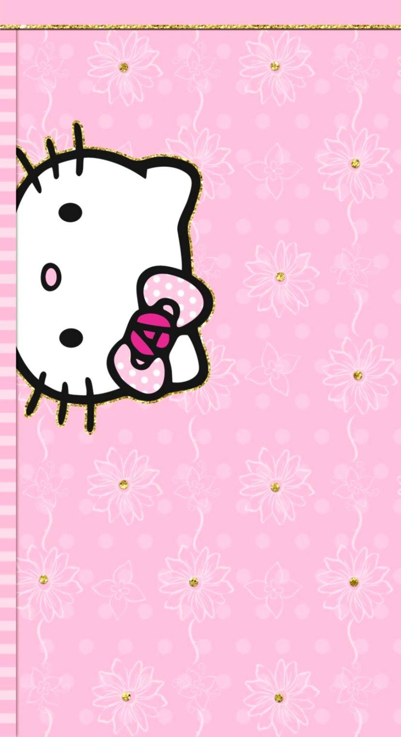 828x1520 Pin By Mimi F On Hello Kitty Cell Phone Wallpaper Hello Wallpaper Hello Kitty Wallpaper Pink