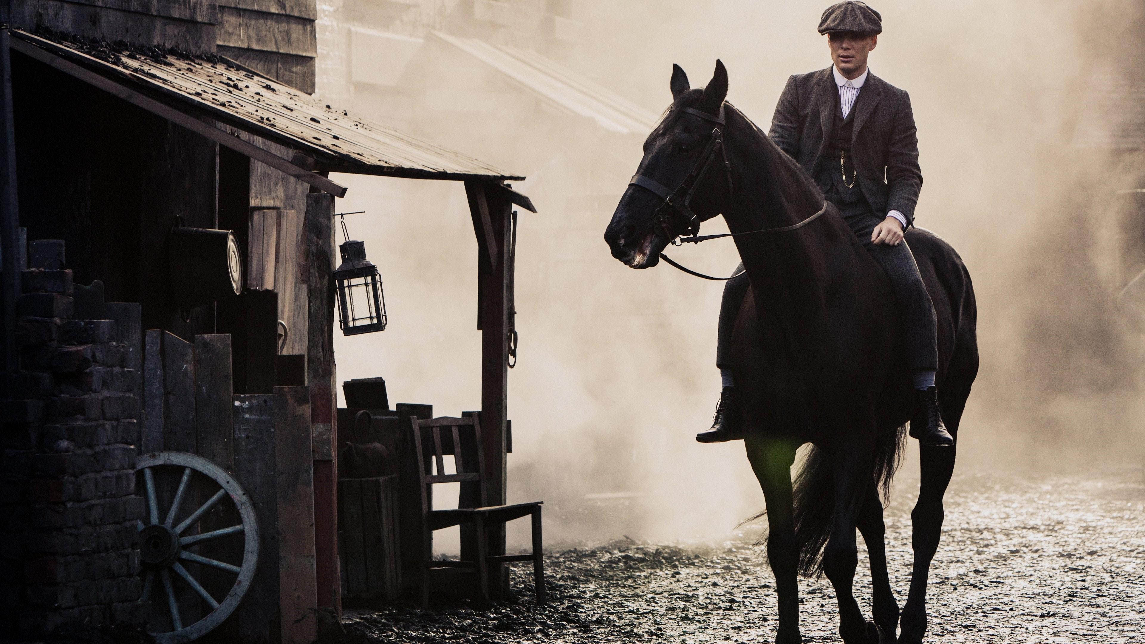 3840x2160 Cillian Murphy, Horse, Peaky Blinders 4k wallpaper. Mocah HD Wallpaper
