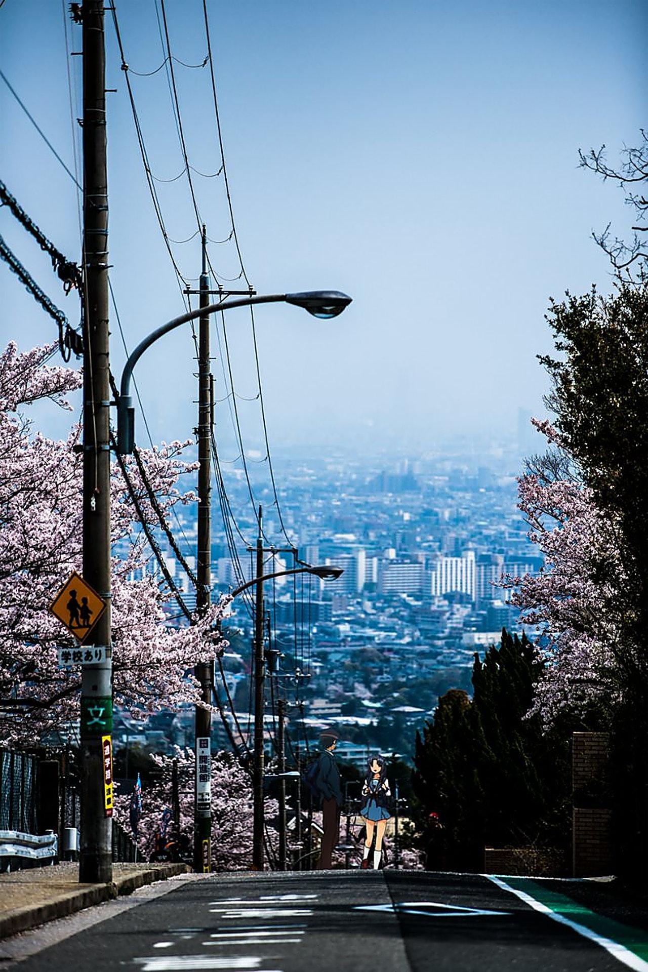 1280x1920 When Anime And Photohop Meet The Real World