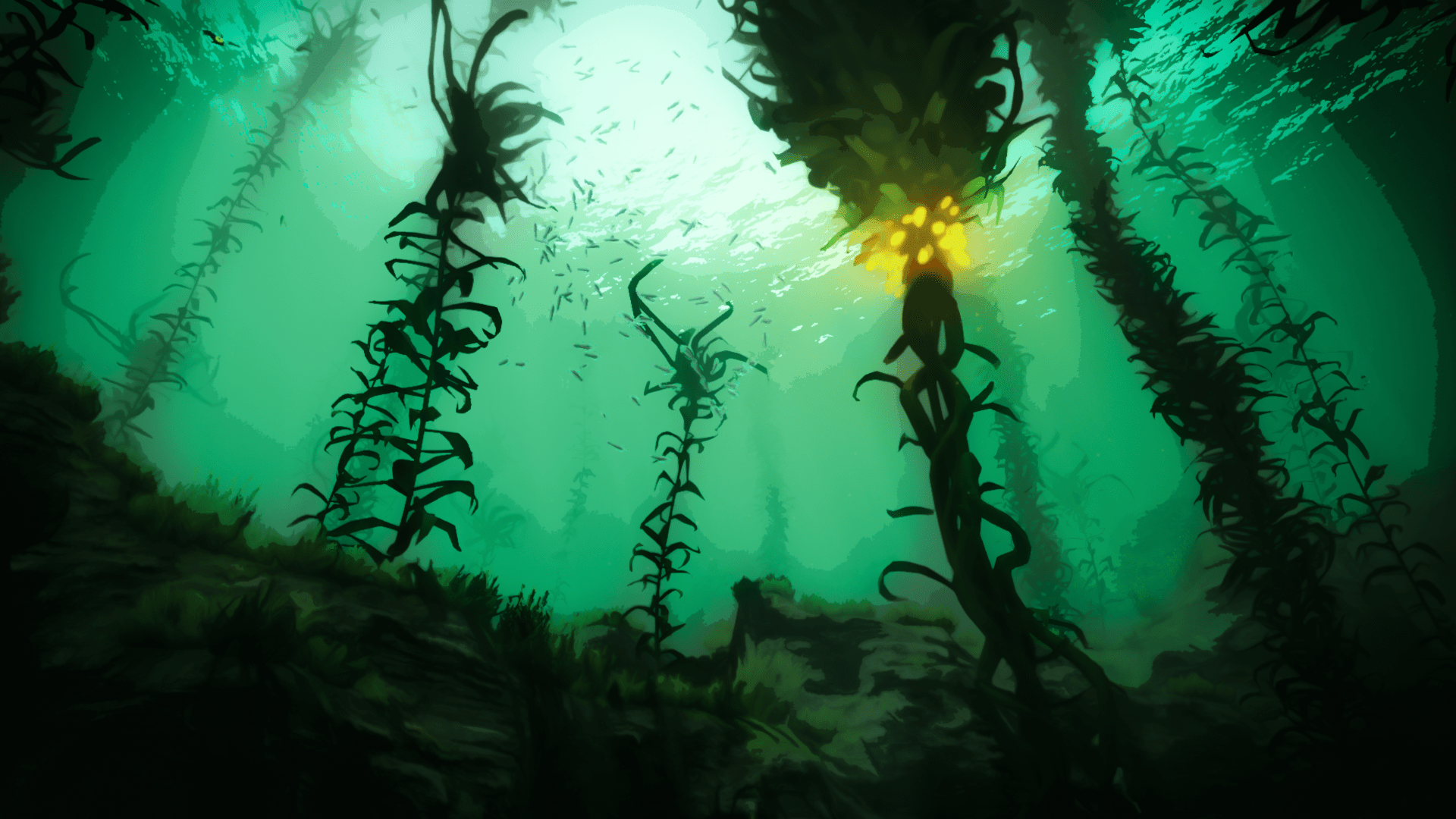 Seaweed Wallpapers - Top Free Seaweed Backgrounds - WallpaperAccess