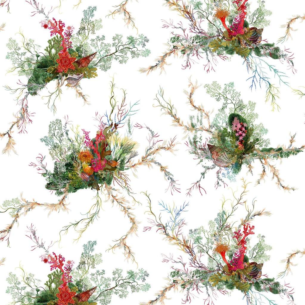 1024x1024 Timorous Beasties 'Seaweed & Shell' Wallpaper