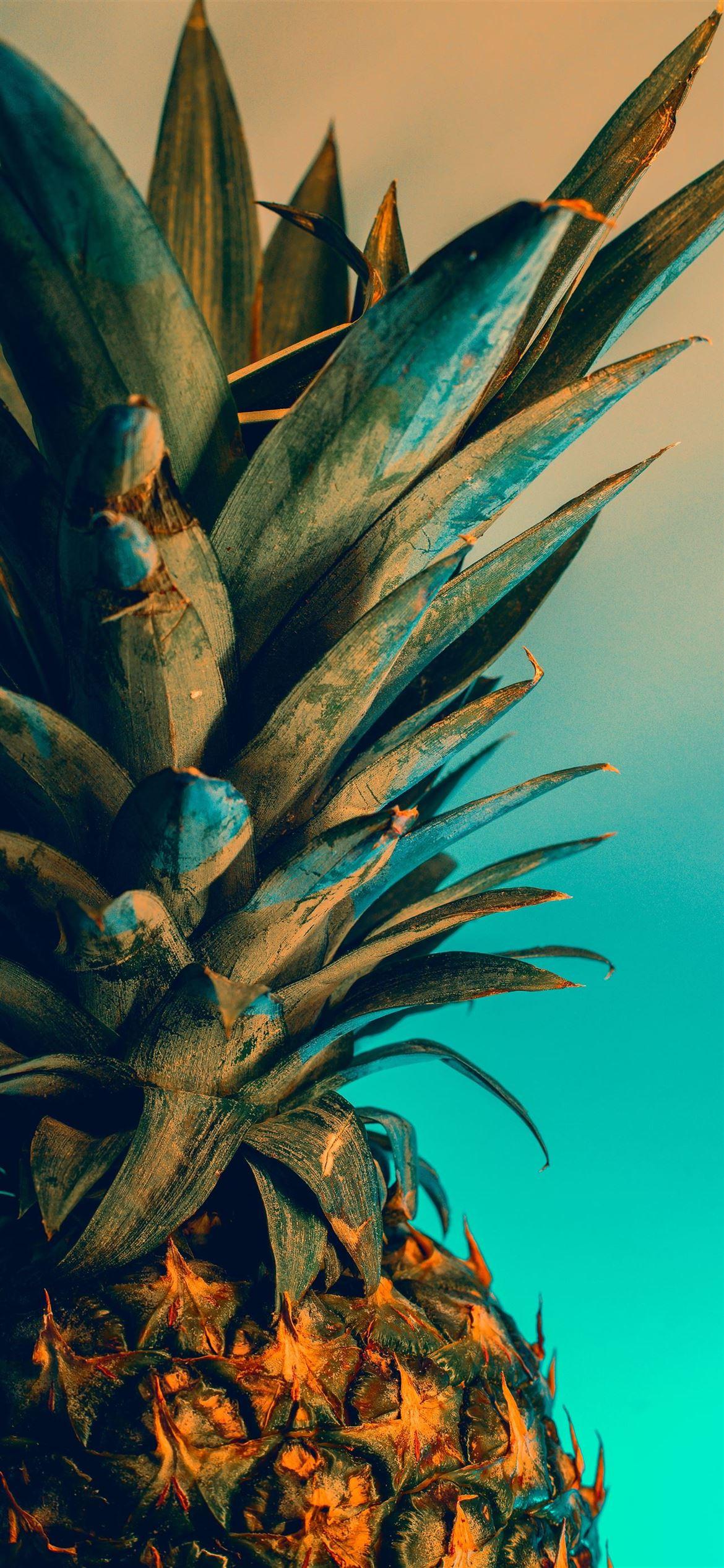 1170x2532 Best Tree iPhone 12 HD Wallpaper