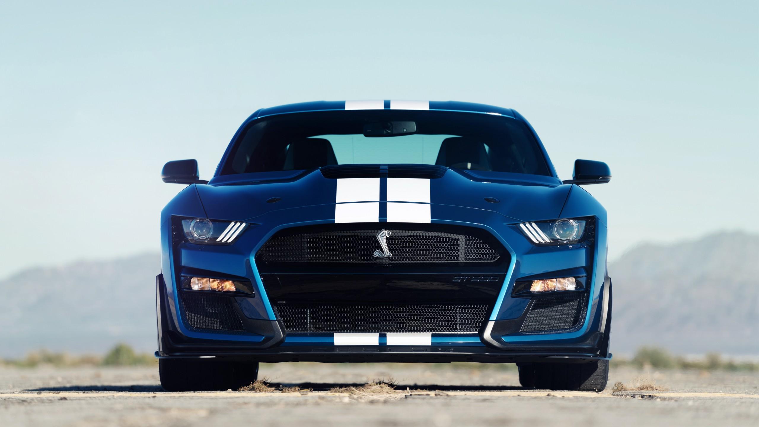 2560x1440 Ford Mustang Shelby GT500 4K Wallpaper. HD Car Wallpaper