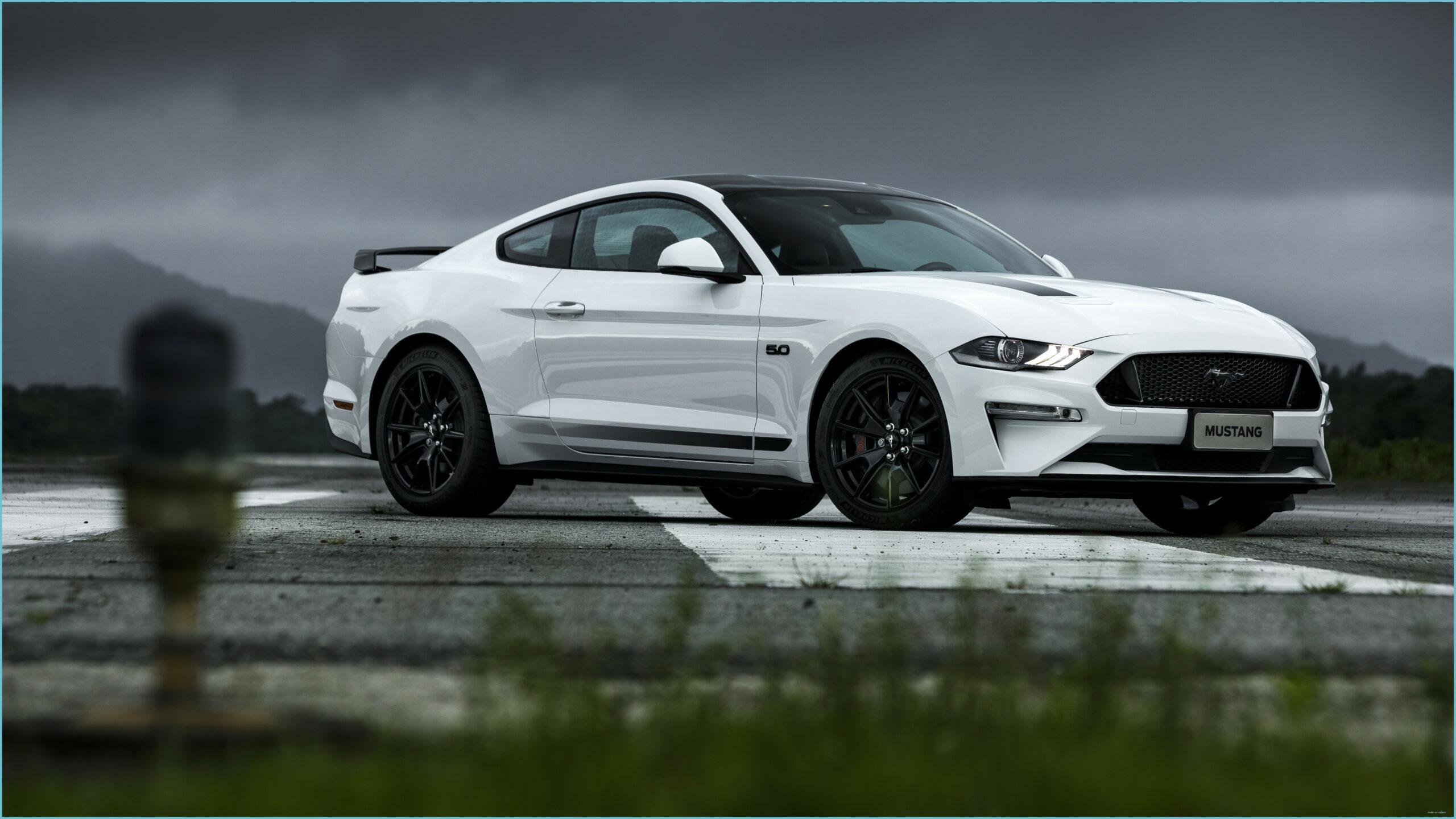 2560x1440 Ford Mustang GT Black Shadow 8 8K 8K 8 Wallpaper HD Car Car Wallpaper