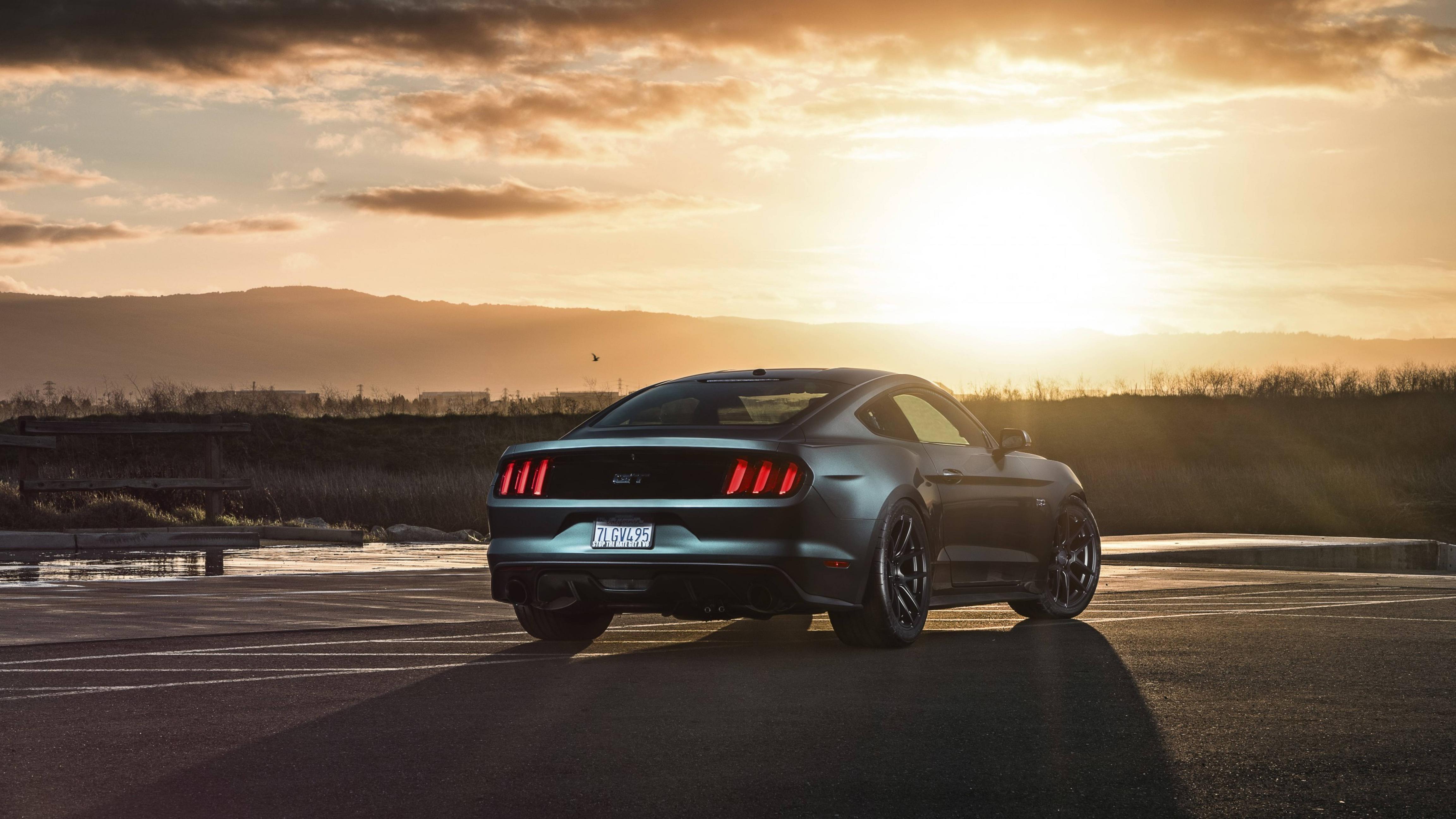 4608x2592 ford mustang, gt 8K Wallpaper, HD Cars 4K Wallpaper, Image, Photo and Background