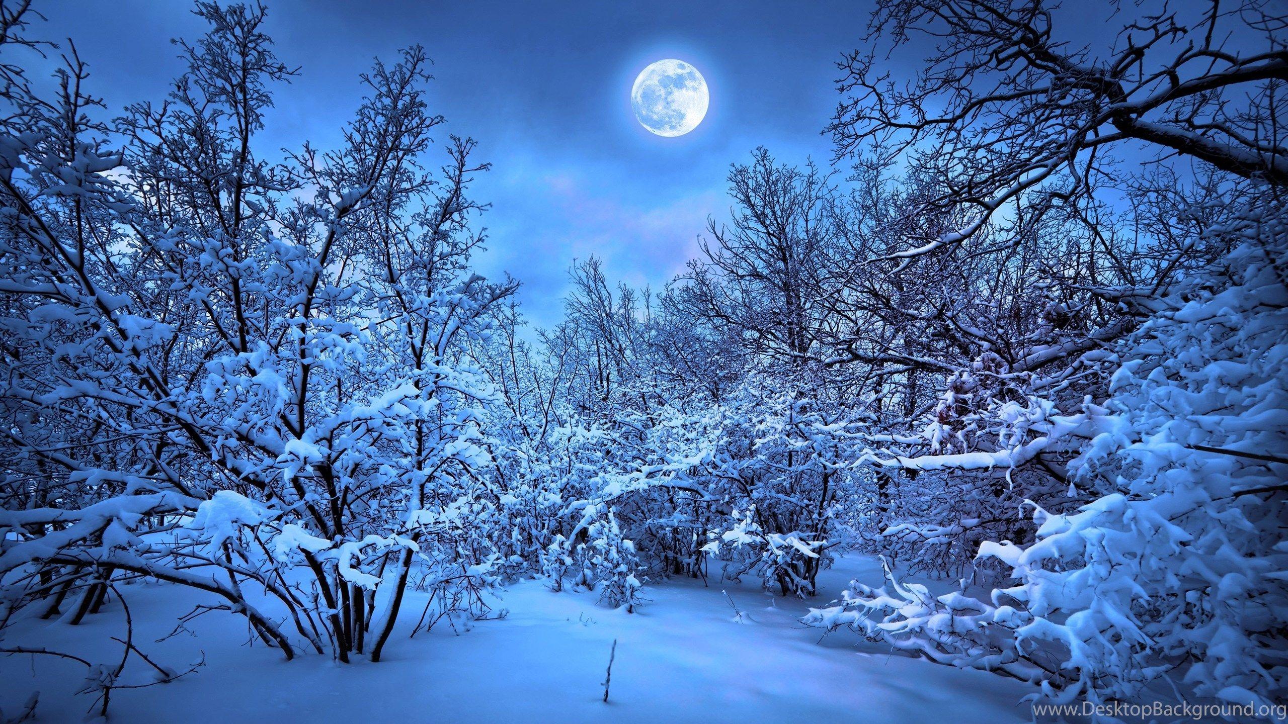 2560x1440 Moon 4K Ultra HD Winsome Wallpaper Free HD Wallpaper Download
