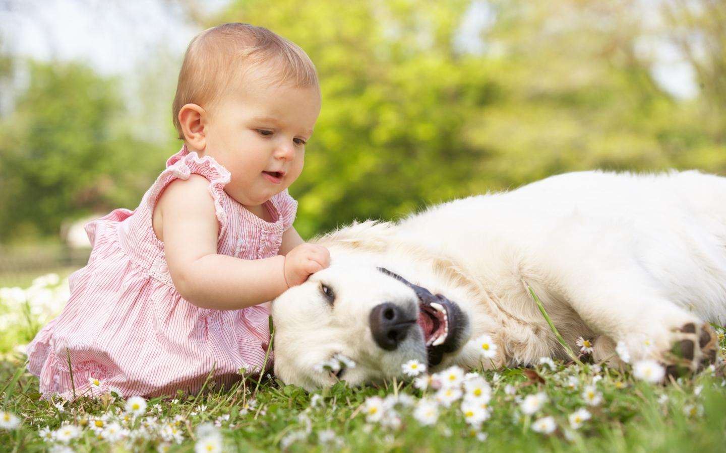 1440x900 Cute Little Girl Playing With Dog 1440 x 900 widescreen Wallpaper