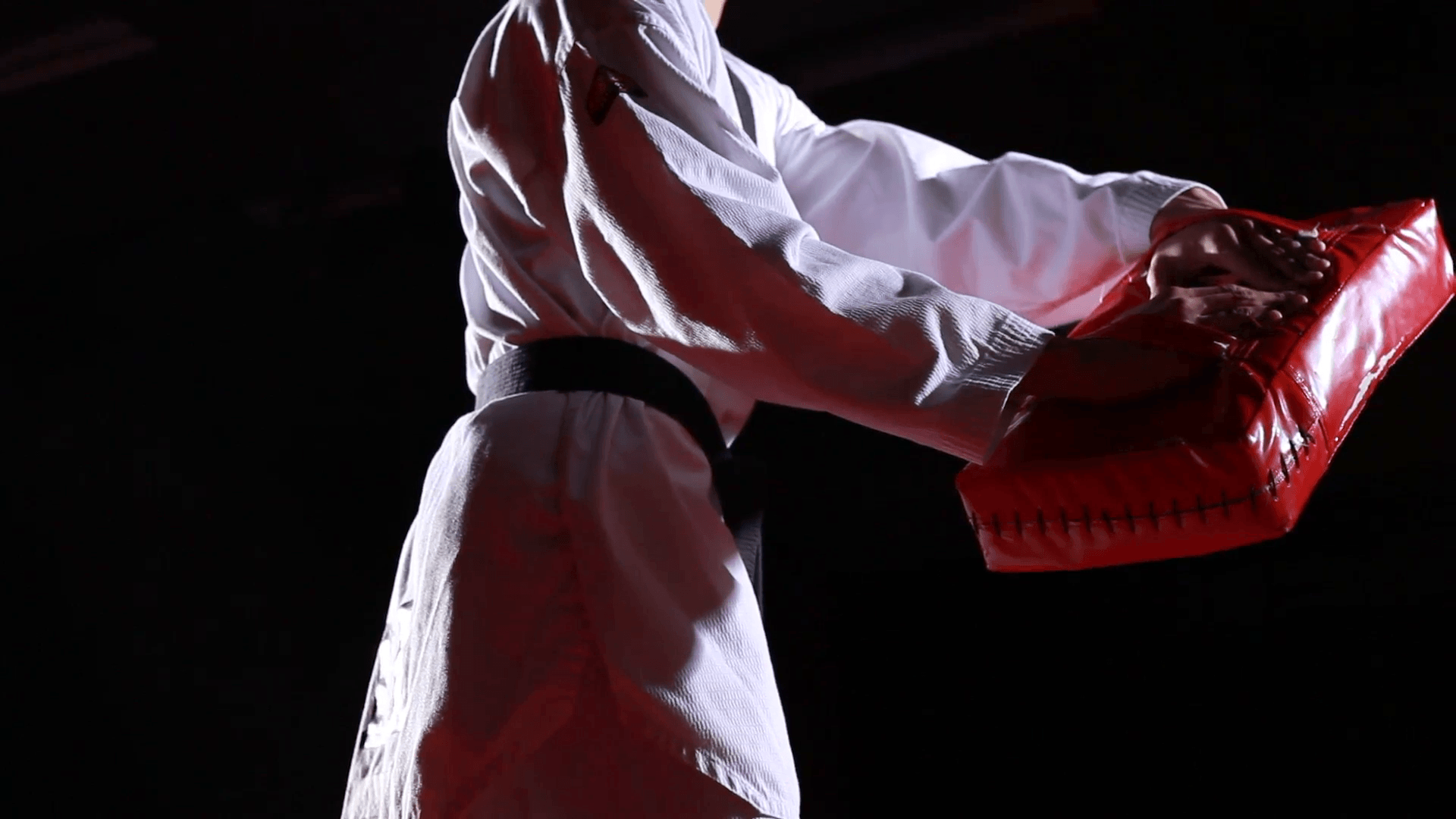 1920x1080 taekwondo kicks training Stock Video Footage