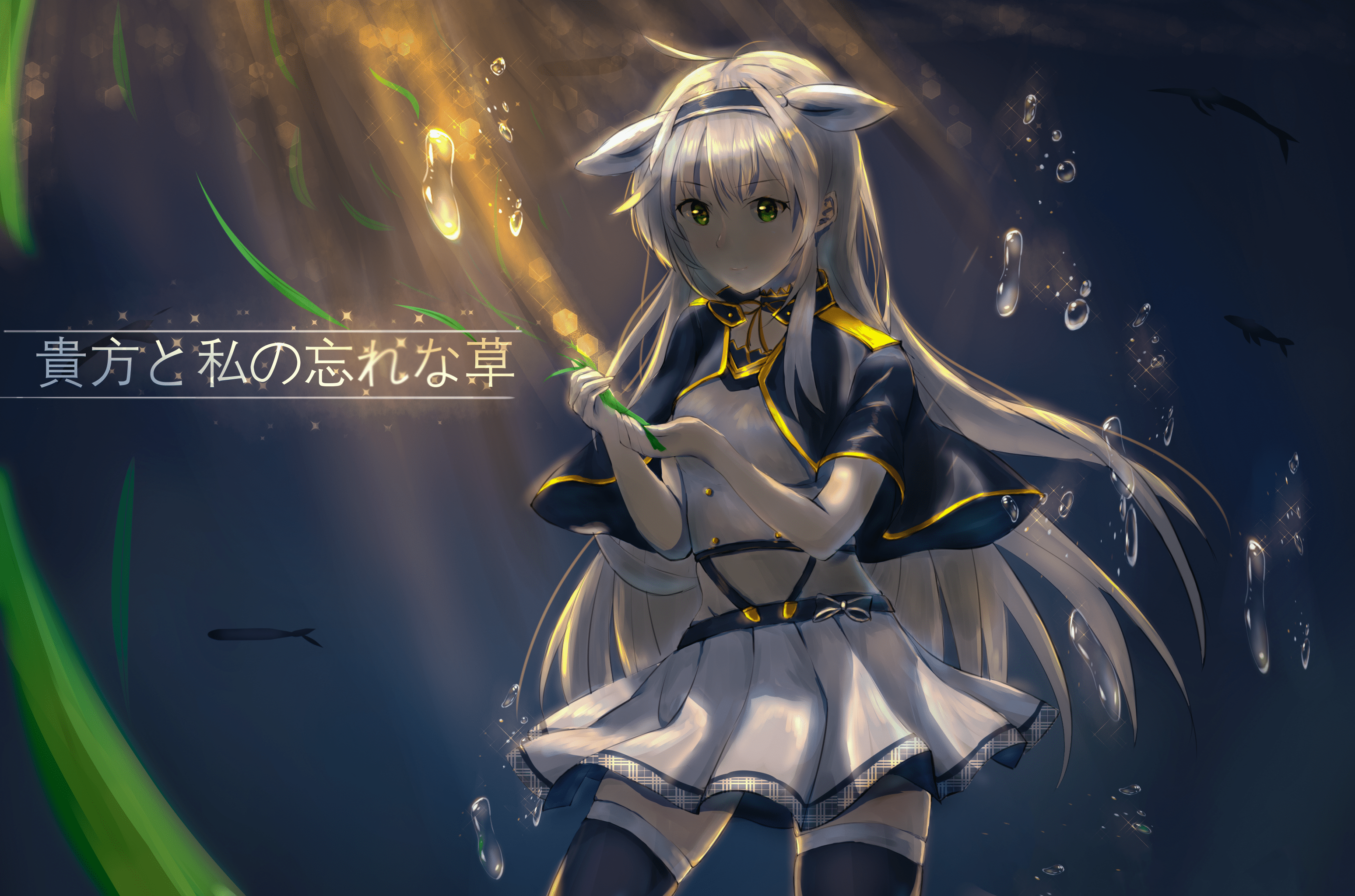 3096x2048 Rokudenashi Majutsu Koushi To Akashic Records HD Wallpaper