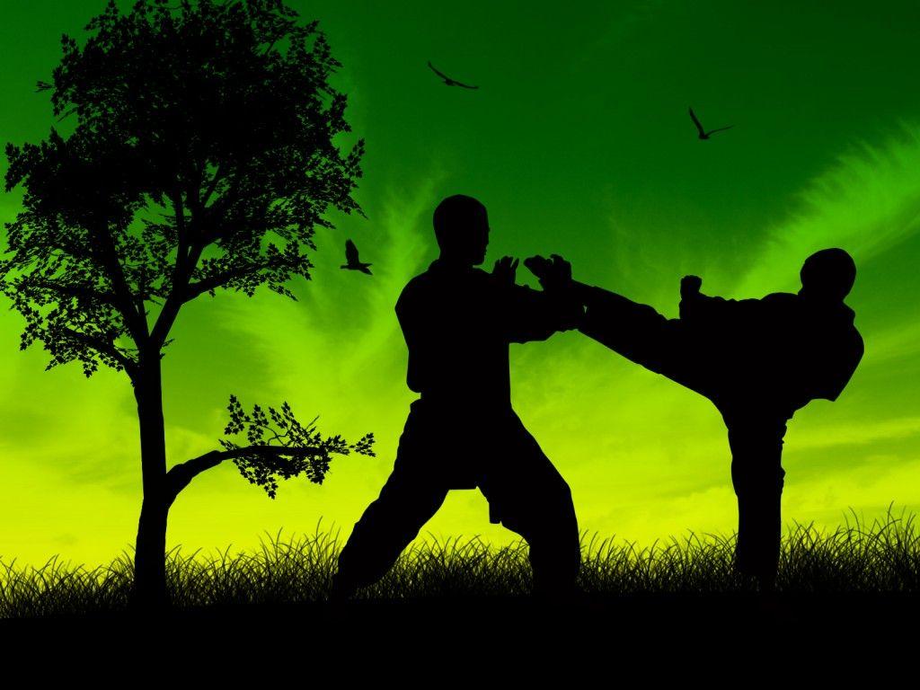 1024x768 Taekwondo wallpaper