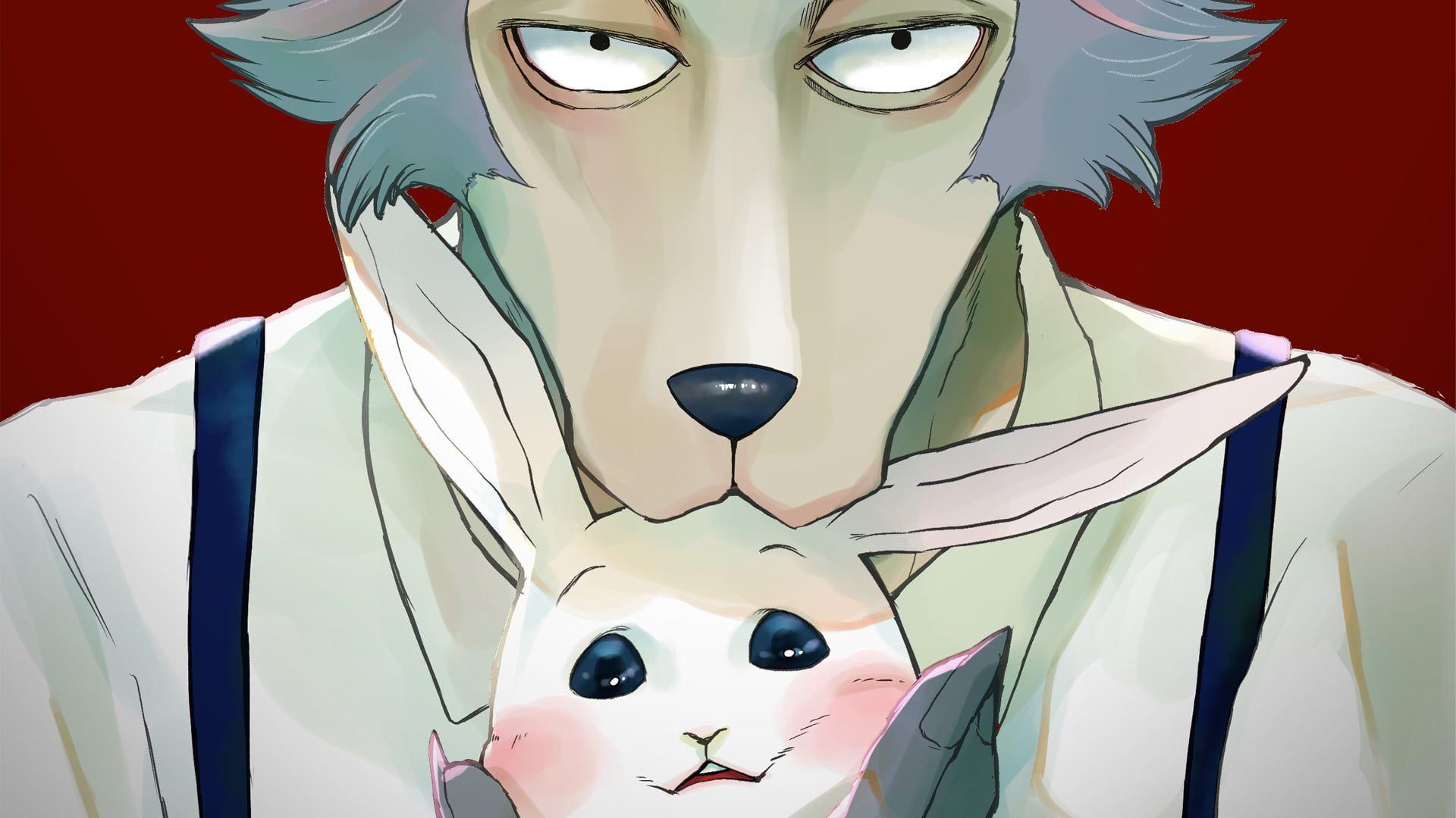 1920x1080 Anime #Beastars Haru (Beastars) Legosi (Beastars) P #wallpaper #hdwallpaper #desktop. Anime, Legosi beastars, Beastars fanart