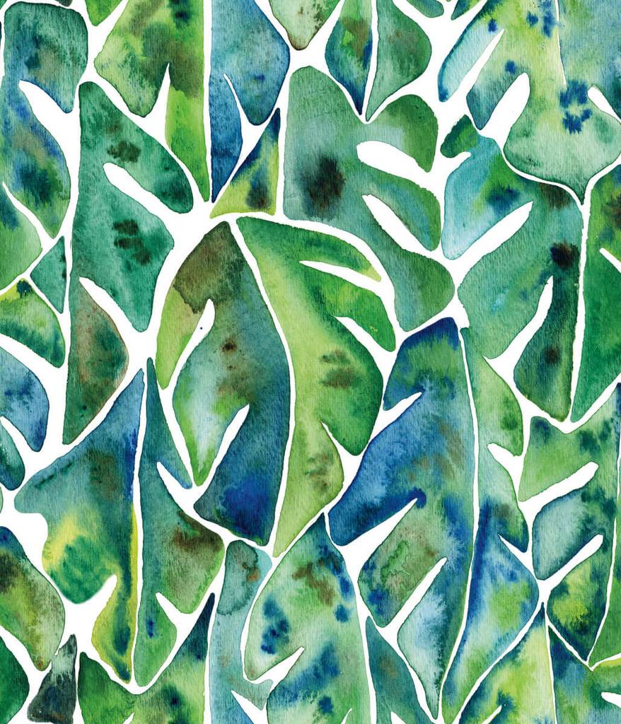 Philodendron Wallpapers - Top Free Philodendron Backgrounds