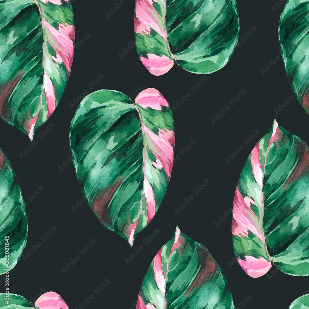 Philodendron Wallpapers - Top Free Philodendron Backgrounds