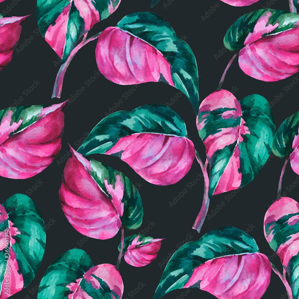 1000x1000 BEST Pink Princess Philodendron IMAGES, STOCK PHOTOS & VECTORS