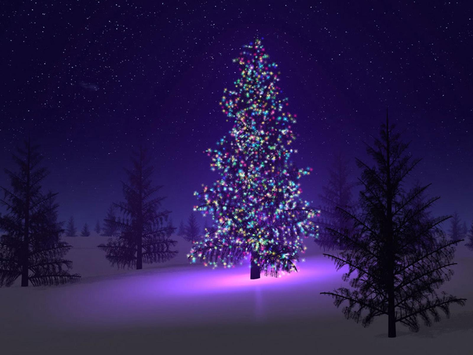 1600x1200 Aesthetic Xmas Tree Wallpaper