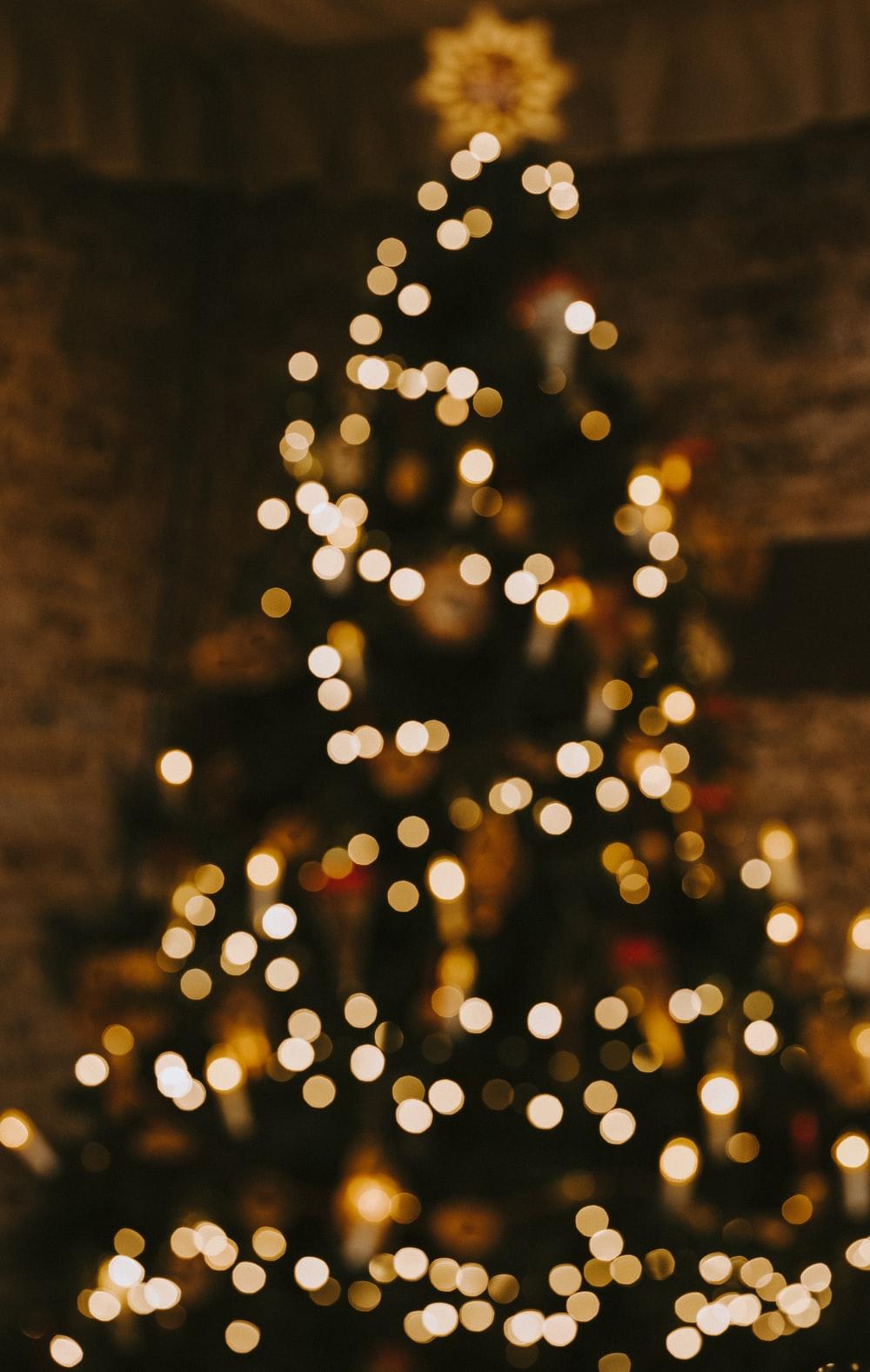 1000x1577 Christmas Tree Picture [HQ]. Download Free Image