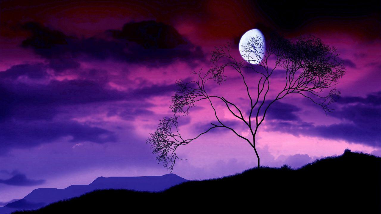 1280x720 Download wallpaper 1280x720 moon, night, sky, lilac, tree, bush, branches, outlines hd, hdv, 720p HD background