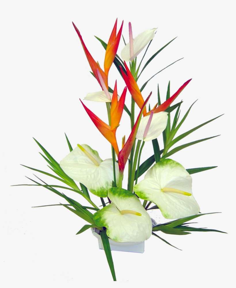 820x1001 Tropical Flowers Wallpaper, Emogene Reddish Flower Png Transparent PNG Image. Transparent PNG Free Download on SeekPNG