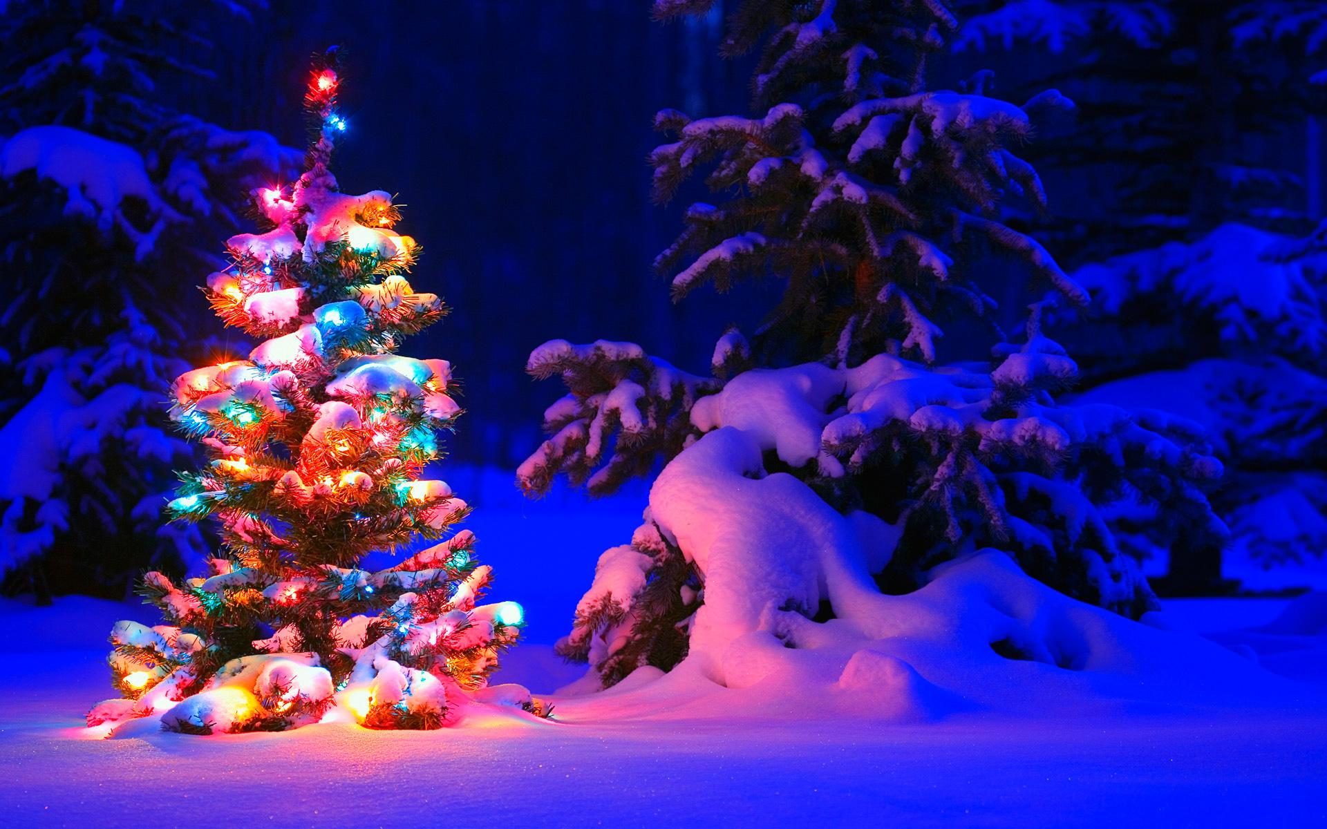 1920x1200 Christmas Wallpaper For Android Snowman Christmas Tree With Lights