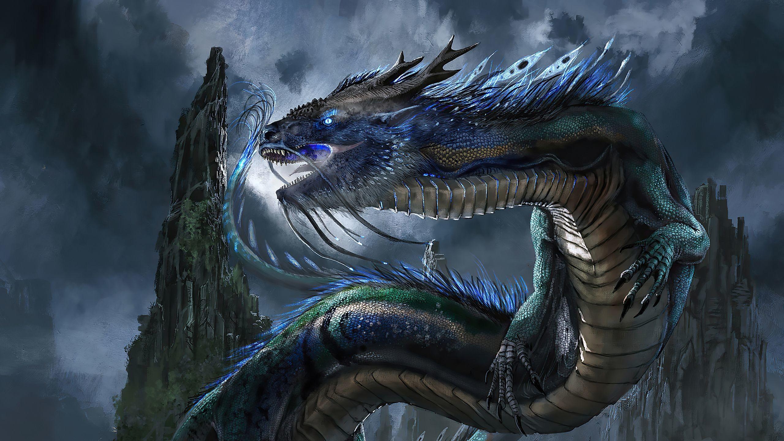 2560x1440 Dragon Picture Wallpaper (best Dragon Picture Wallpaper and image) on WallpaperChat