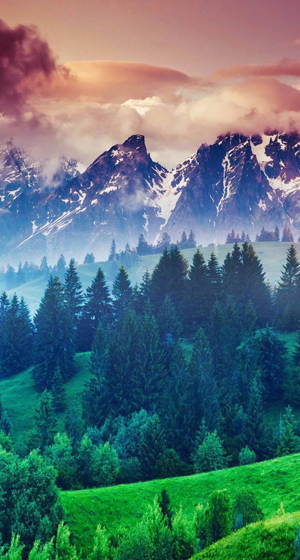 1028x1920 Free download Clouds iPhone 6 Plus HD Wallpaper iPod Wallpaper HD Download [1028x1920] for your Desktop, Mobile & Tablet. Explore iPhone 6 Wallpaper HD Forest. Cool Wallpaper for Phone