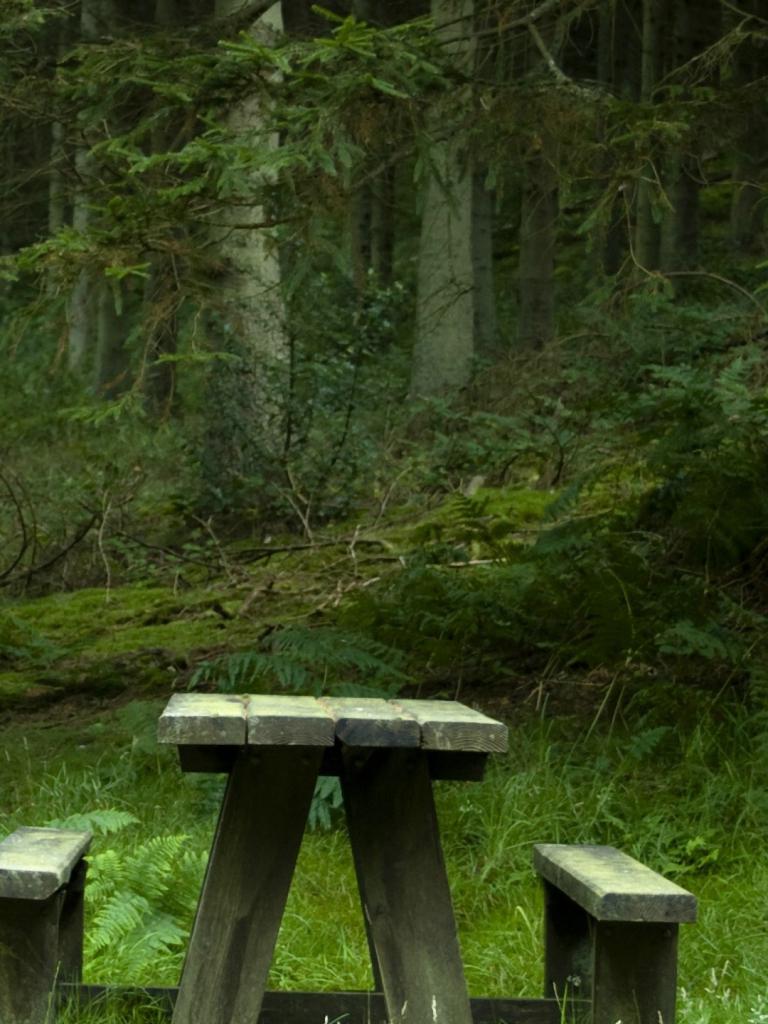 768x1024 Free download 1080x1920 forest landscape iPhone 6 wallpaper HD nature iPhone 6 [1080x1920] for your Desktop, Mobile & Tablet. Explore iPhone 6 Wallpaper HD Forest. Cool Wallpaper for Phone