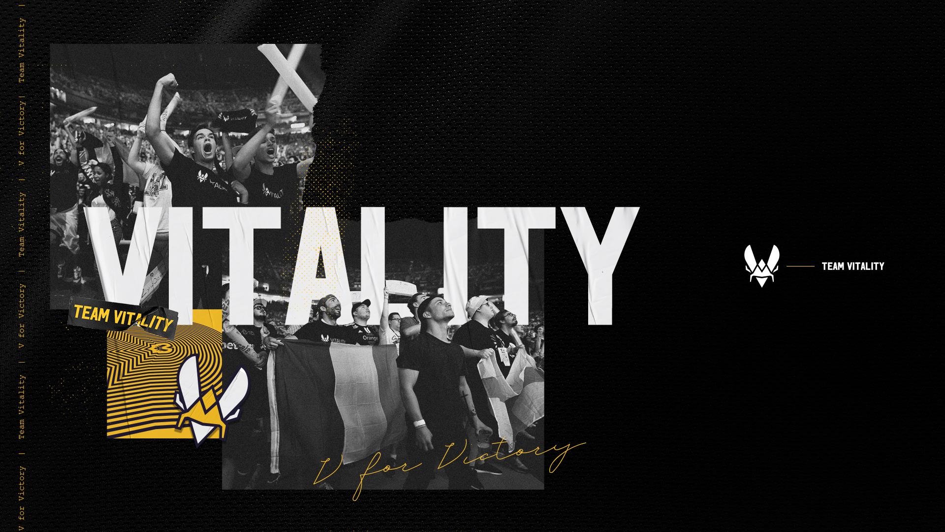 Team Vitality Wallpapers - Top Free Team Vitality Backgrounds ...