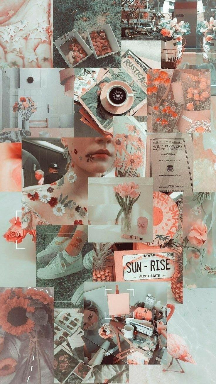 736x1309 Summer College Aesthetic Wallpaper