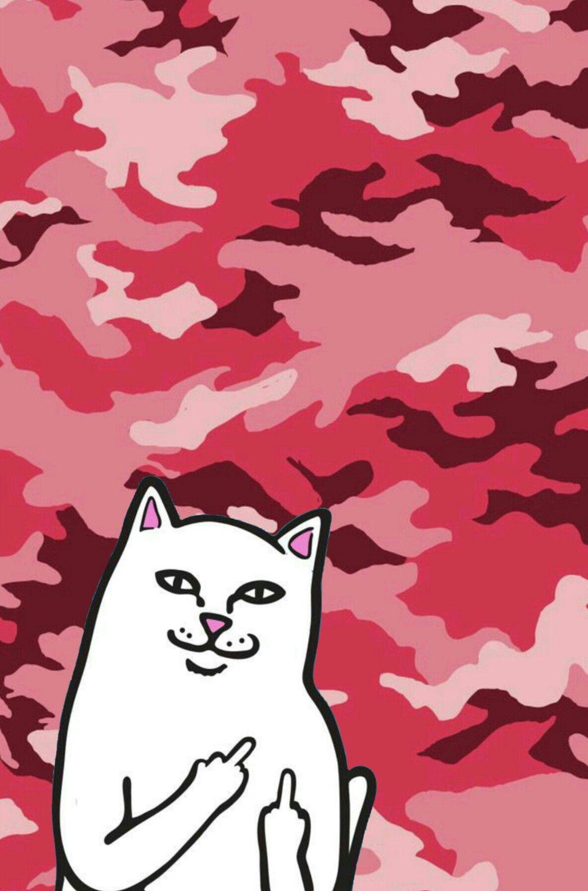 1183x1792 iPhone Wallpaper Aesthetic Rip N Dip