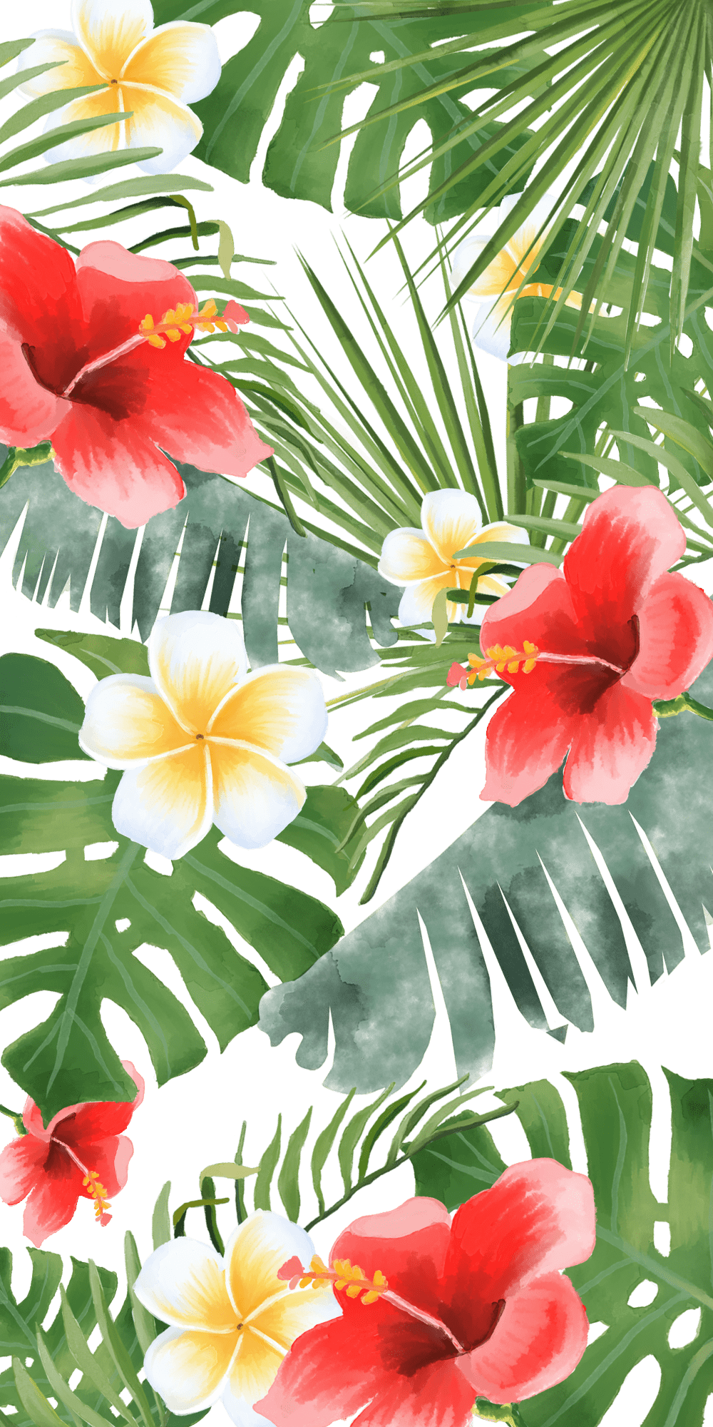 1000x2000 Summer Tropical Pinterest Wallpaper