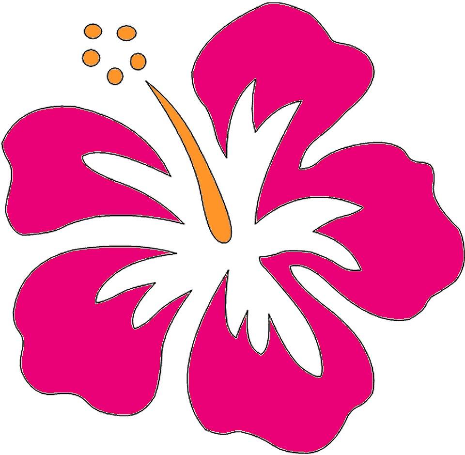 960x939 Luau Flower