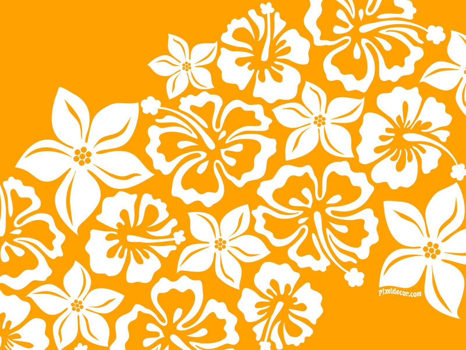 Hawaiian Luau Wallpapers - Top Free Hawaiian Luau Backgrounds