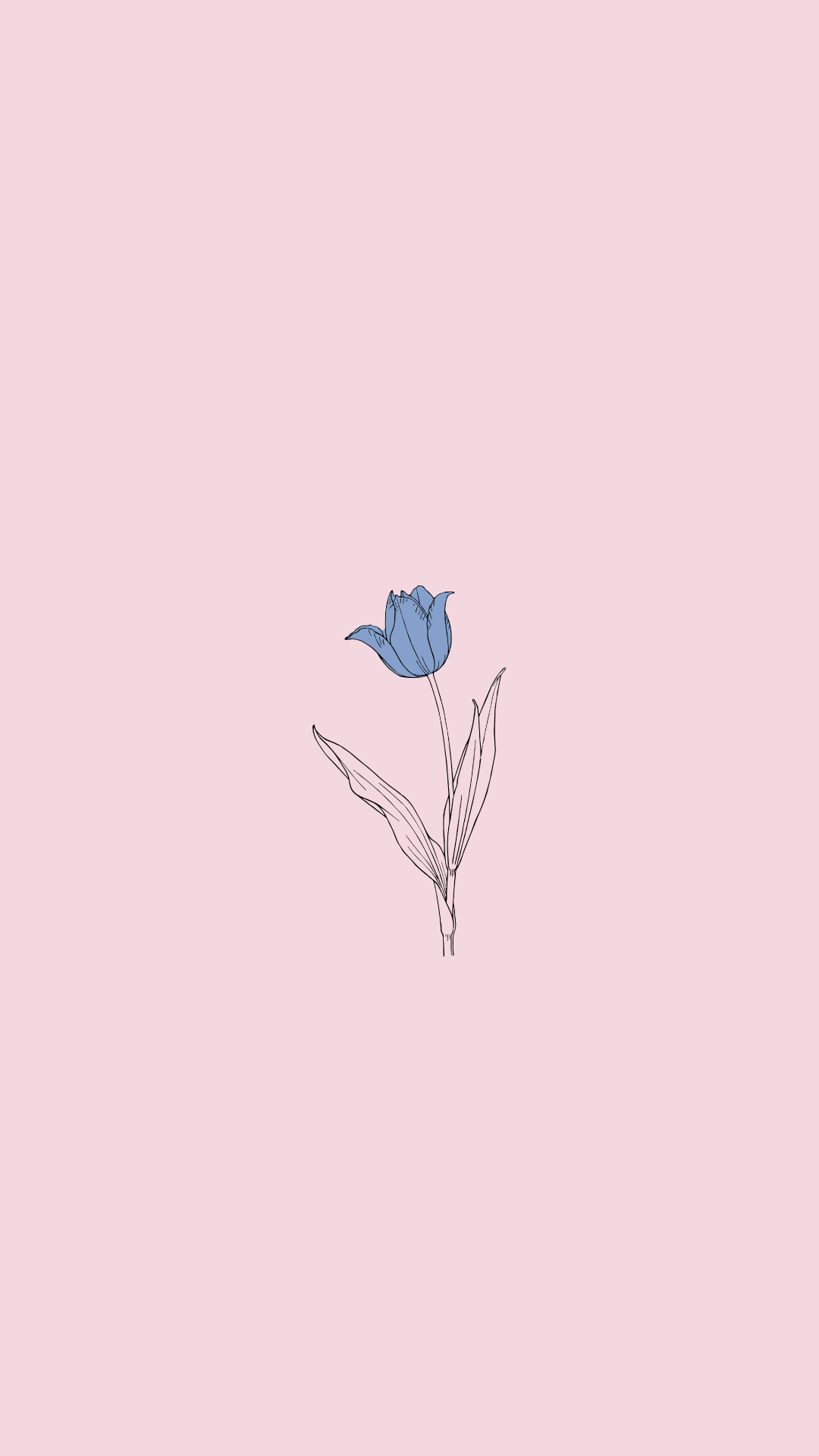 1080x1920 Minimalist Pastel Pink And Blue Wallpaper