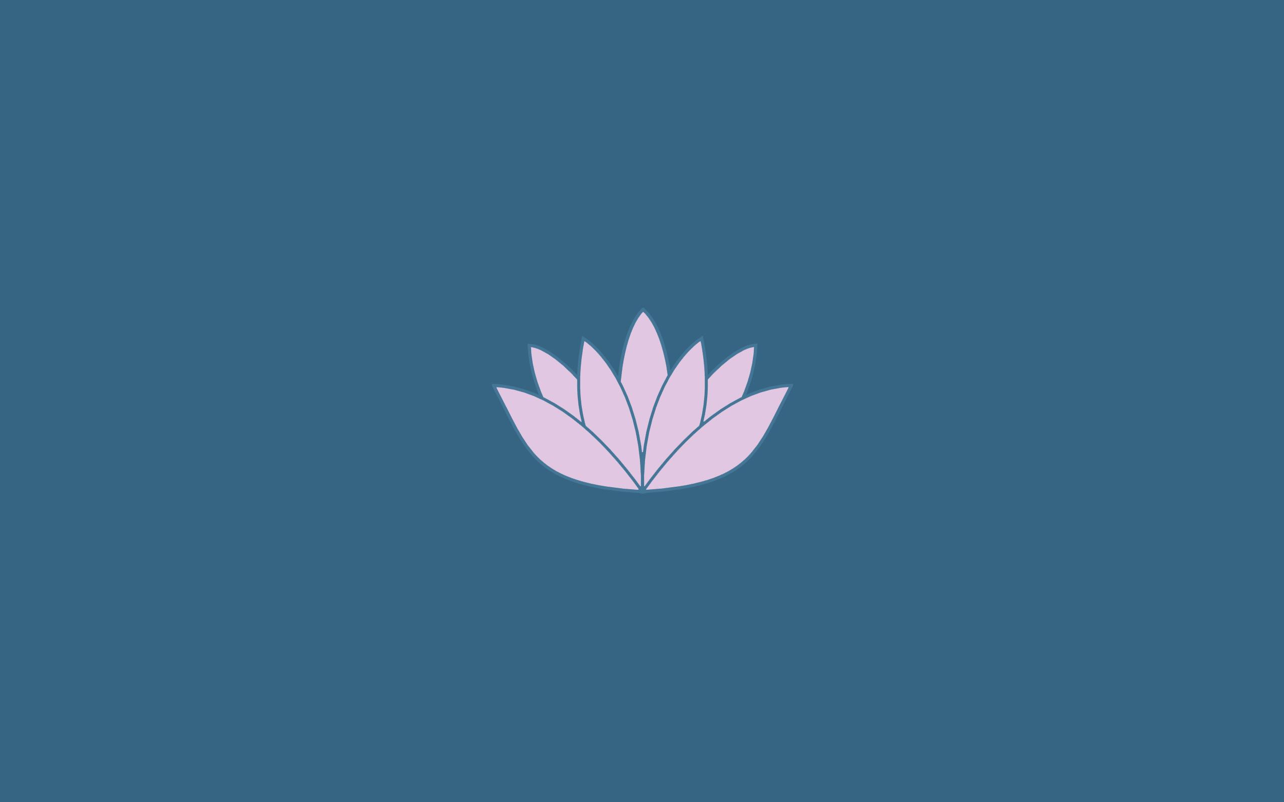 2560x1600 Desktop Wallpaper Minimalism, Petals, Pink Flower, HD Image, Picture, Background, Emglti